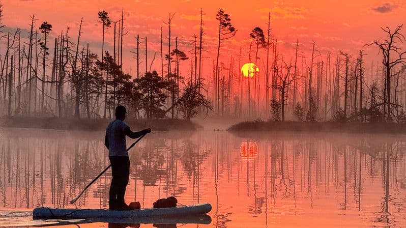 Au départ de Riga : Sunrise SUP Tour avec prise en charge à Cenas Tīrelis