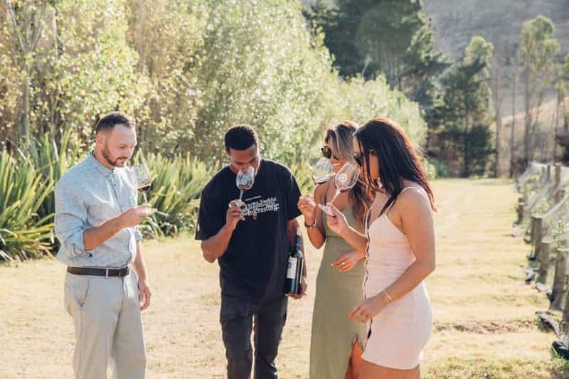 Île de Waiheke : visite panoramique de l'île et dégustation de vins locaux