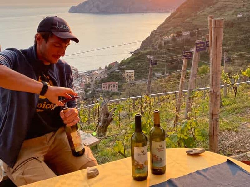 Billet Vernazza : Trekking panoramique dans les vignobles avec dégustation de vin
