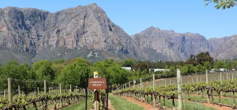 Table Mountain & Constantia Wine Estate visite privée combinée