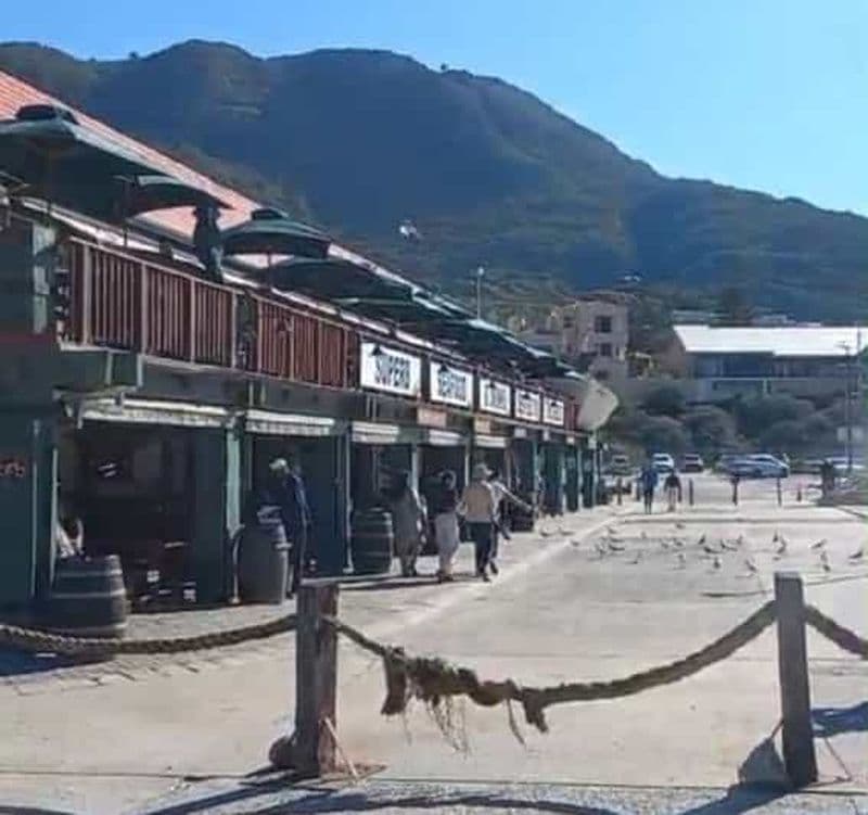 Hout Bay : Excursion en bateau sur l'île de Seal avec visite du monde des oiseaux
