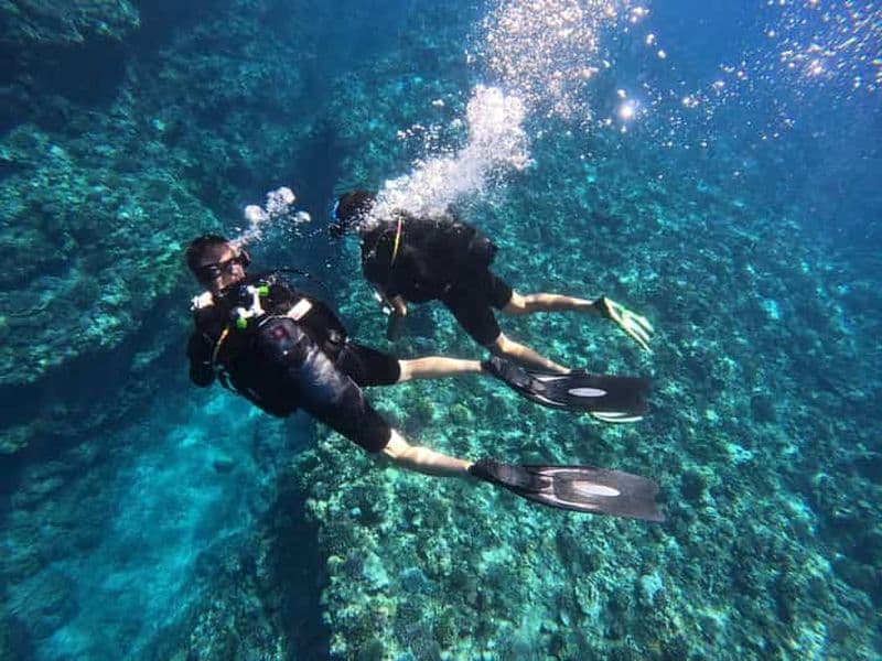 Initiation d'une heure à la plongée-sous-marine !