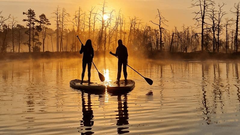 Billet Au départ de Riga : Excursion au lever du soleil en kayak ou en paddleboard avec prise en charge