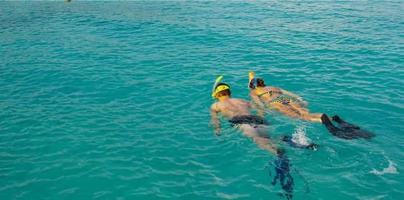 Billet La Palma : plongée en apnée à Los Cancajos