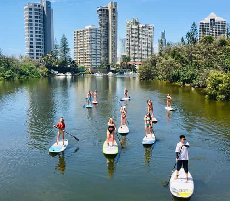 Gold Coast : visite de 2 heures en stand-up paddle et vie marine