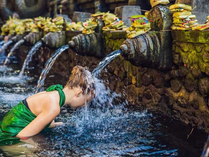 Ubud : Visite du temple Tirta Empul, des rizières en terrasses et des chutes d'eau