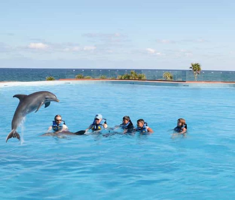 Akumal : rencontre avec les dauphins