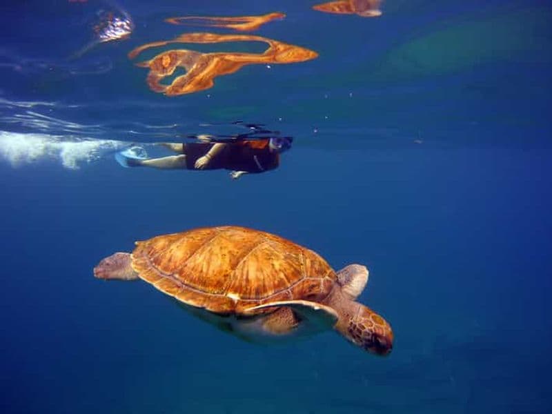 Abades : Paddle Surfing et Snorkelling avec les tortues dans les récifs volcaniques