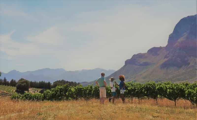 Stellenbosch : 4x4 Winelands Private Experience