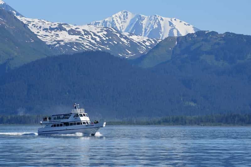 Seward : Croisière Orca Quest dans la baie de Resurrection
