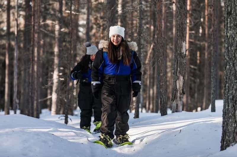 Billet Rovaniemi : Voyage hivernal en raquettes dans la nature sauvage