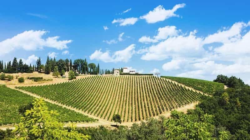 Terricciola Valdera E-Bike Tour + dégustation de vin, séance photo