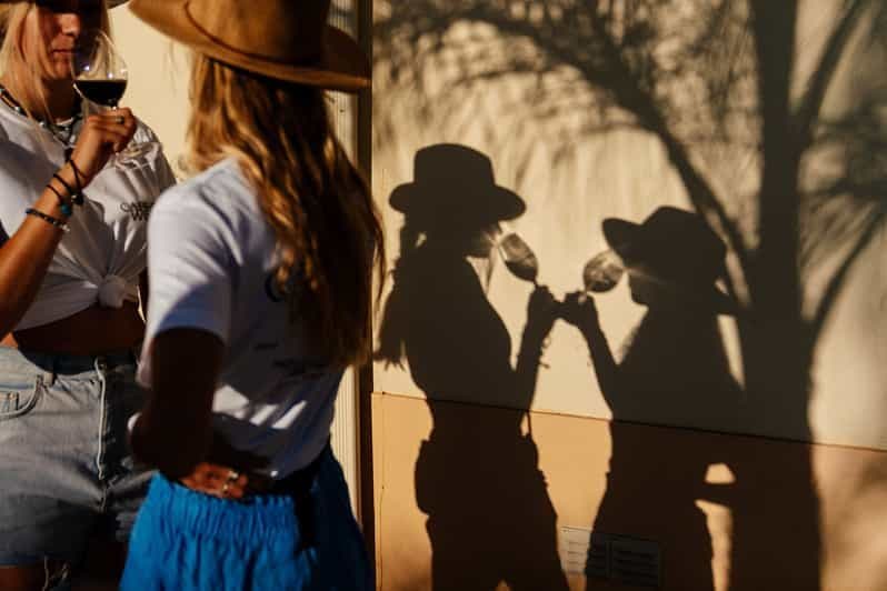 Algarve : Visite d'un vignoble et dégustation de vins de qualité supérieure à Silves