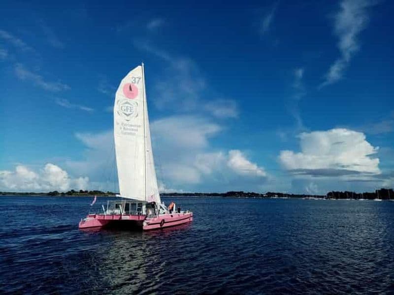 Baden : Exploration du golfe du Morbihan en catamaran