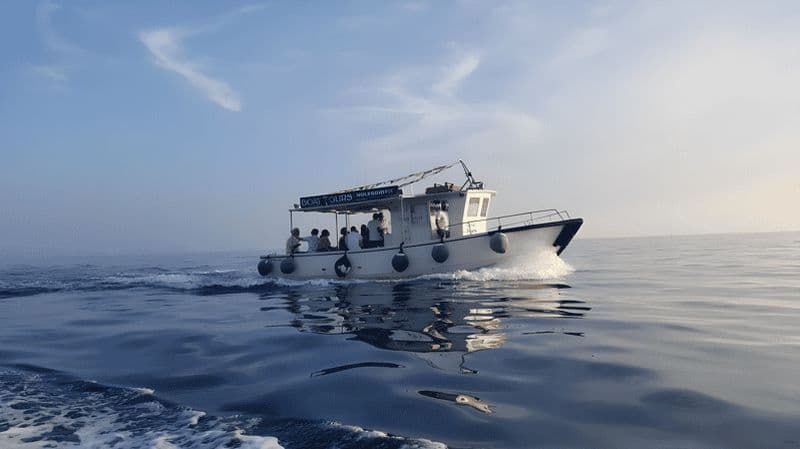 La Spezia, tour en bateau Portovenere, plongée en apnée et aperitivo