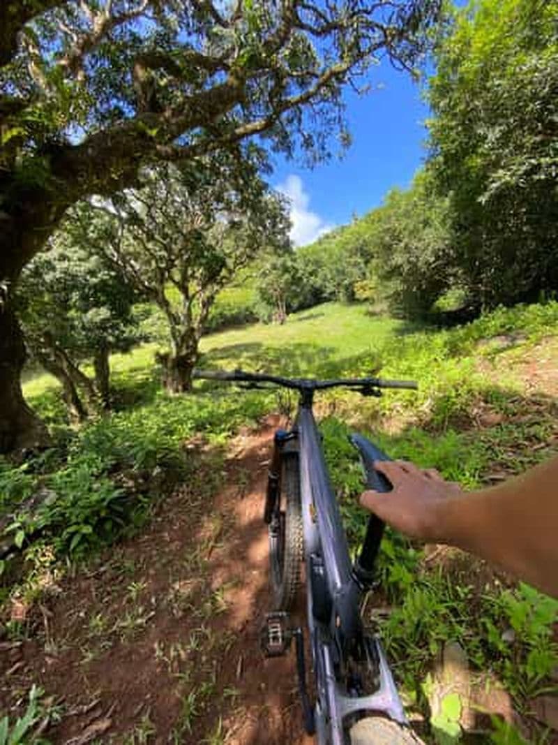 Chamouny : Coaching personnel en VTT