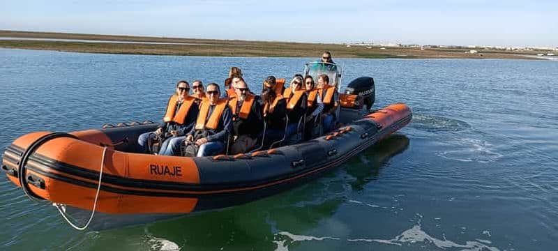 Au départ de Faro : excursion en hors-bord pour observer la faune et les dauphins