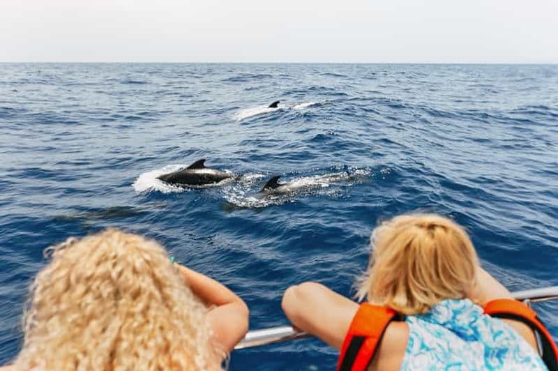 Costa Adeje : Observation des baleines en catamaran avec boissons