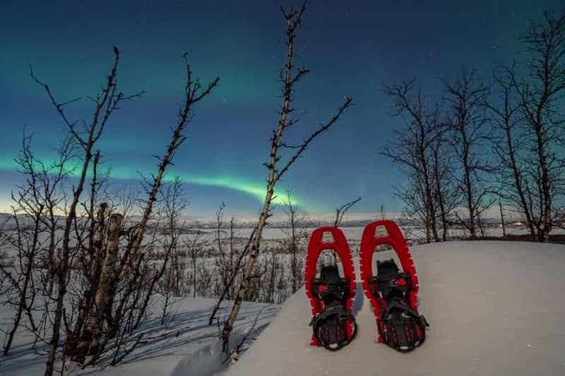 Abisko : Raquettes à neige Aurora
