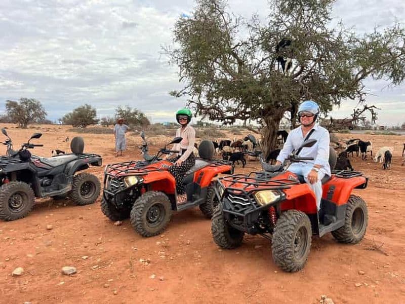 Agadir : Quad et chèvres sur les arganiers avec thé