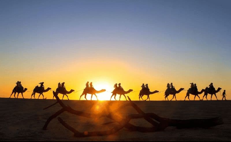 Cabo : safari à dos de chameau et tacos