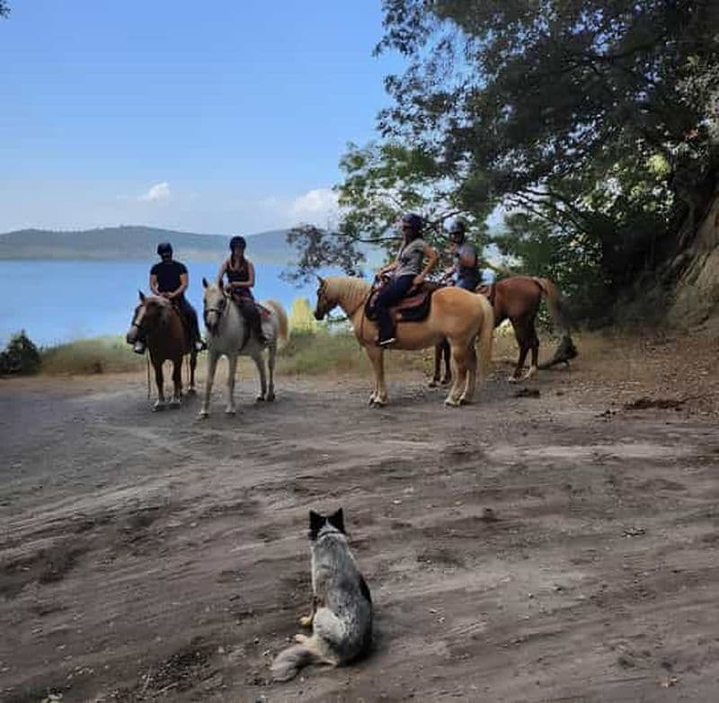 Rome : balade à cheval avec guide au lac Martignano