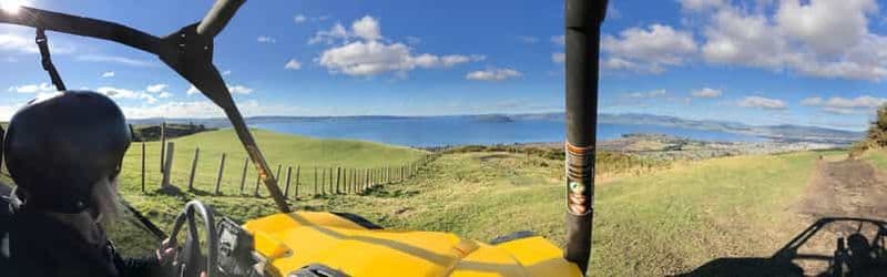 Rotorua : Excursion en buggy 4×4 à travers les fermes et le bush