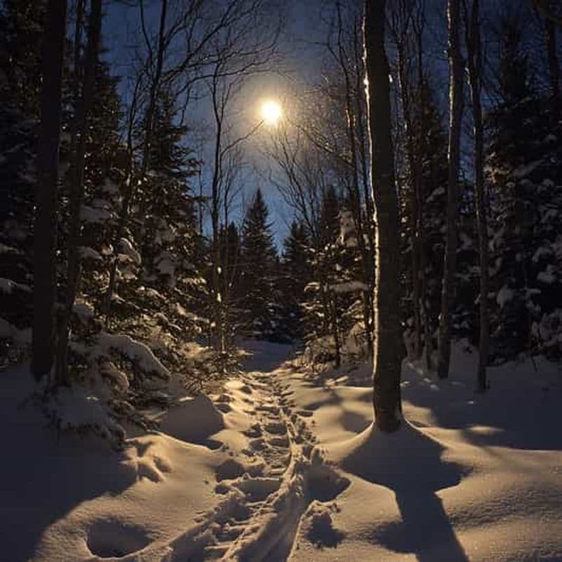 Montreux : randonnée en raquettes avec fondue et vin