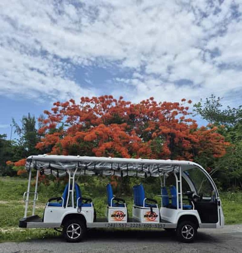 Billet Nassau : visite de la ville en bus à arrêts multiples