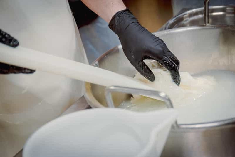 Cours de fabrication de fromage à Matera : devenez un vrai laitier le temps d'une journée !