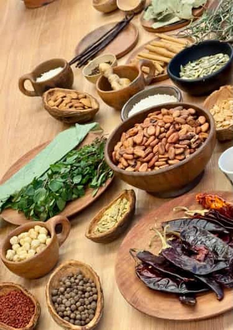 De la fève à la boisson : Torréfier et broyer le cacao pour en faire du chocolat