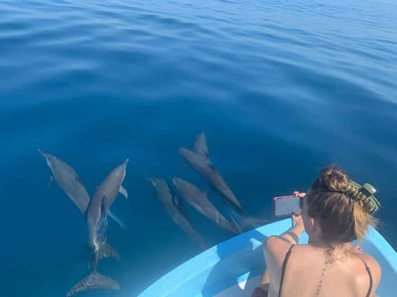 Billet Puerto Escondido : tour en bateau pour voir les dauphins et la vie marine
