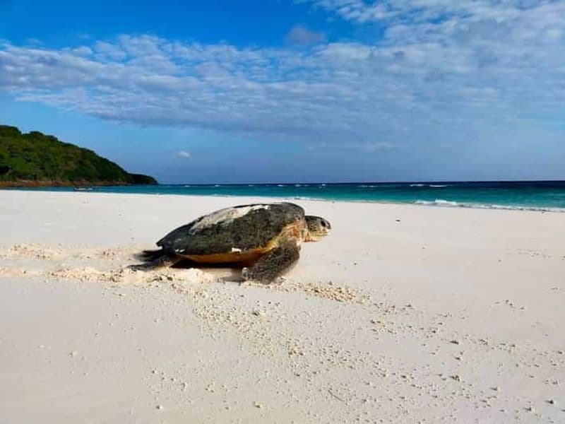 Journée complète de découverte de Khaolak et de son spa