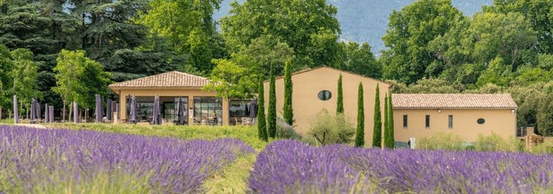 Luberon : visite du vignoble et dégustation de vins