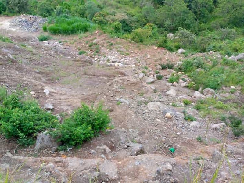 Au départ de Nairobi : visite guidée d'observation des oiseaux