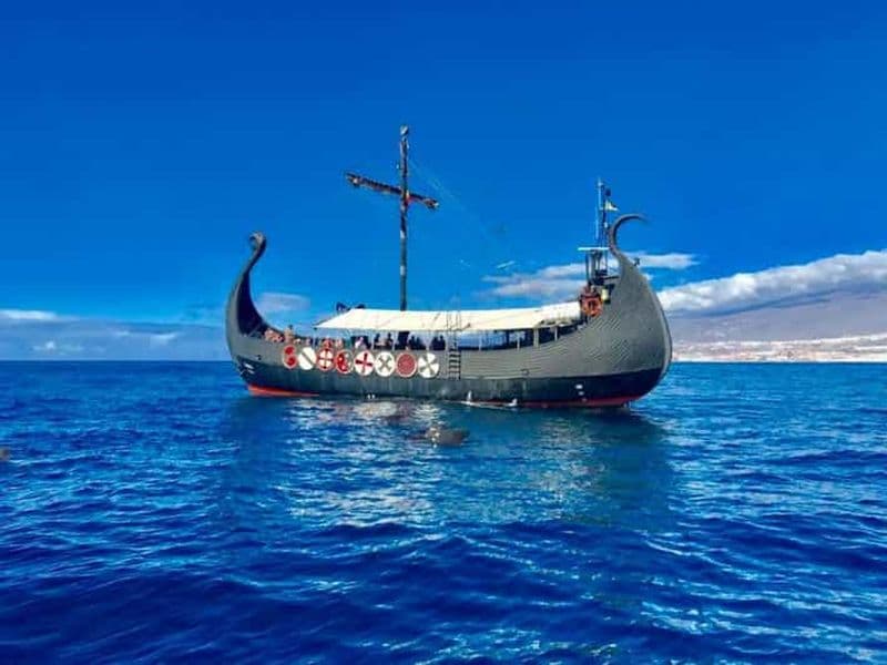 Los Cristianos : Croisière Viking Observation des baleines et des dauphins