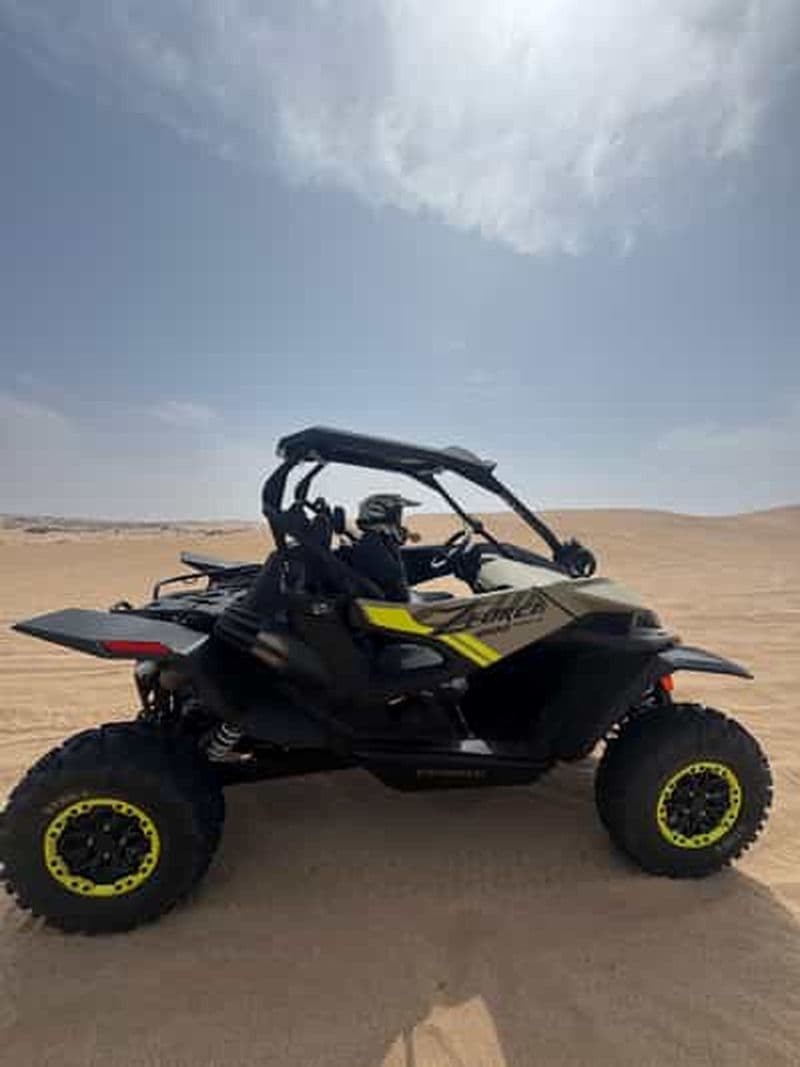 Billet Essaouira : visite en buggy 1000cc avec un guide de la région