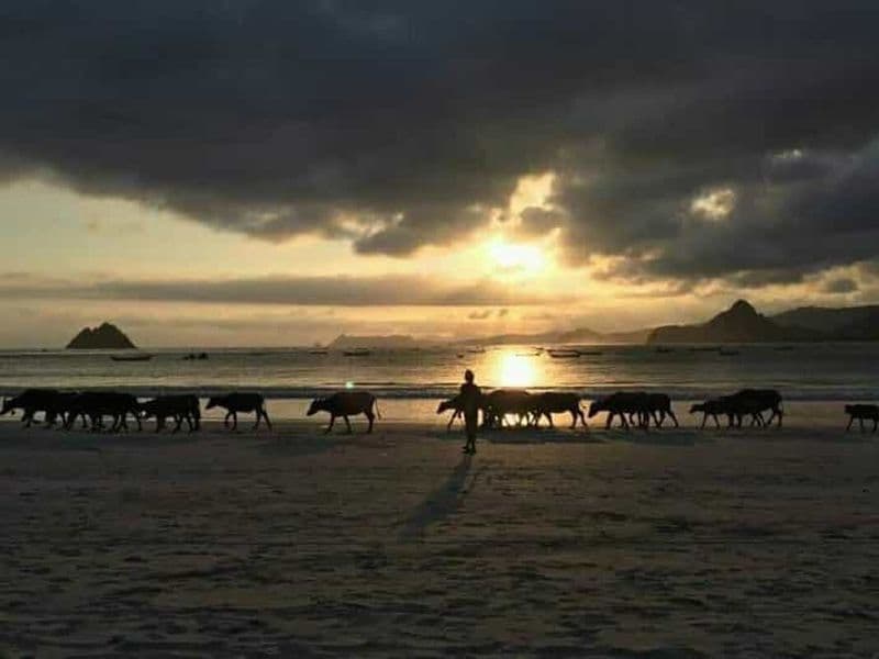 Billet Excursion à Lombok : poterie et visite des plages