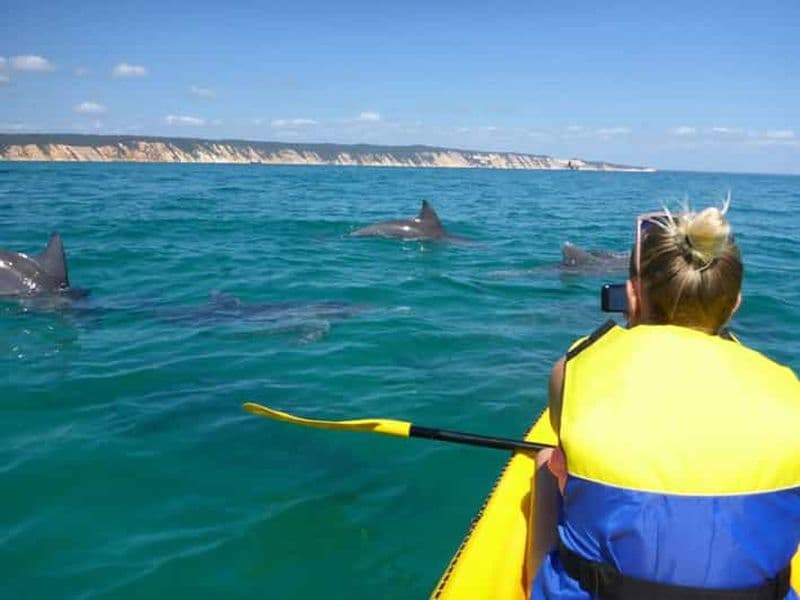 Noosa : Kayak de mer pour les dauphins et excursion en 4X4 sur la plage (dans le parc national)