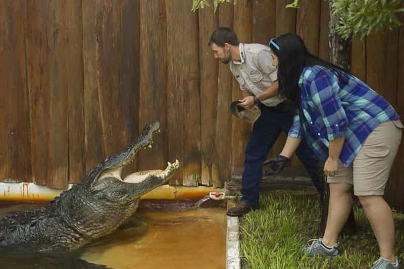 Orlando: visite interactive de Gatorland avec dresseur d'animaux