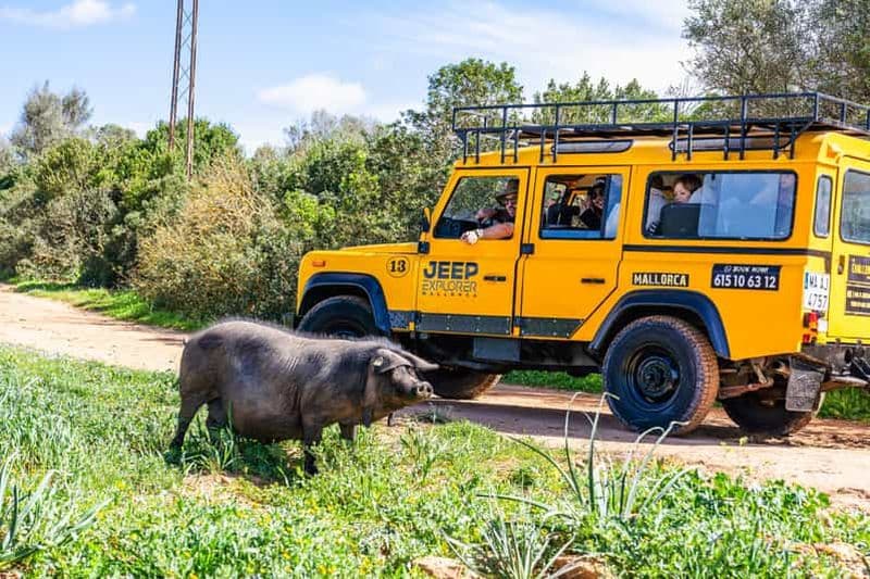 Billet Mallorca : Aventure 4x4 - Safari à la campagne et barbecue au ranch