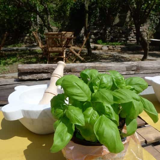 Manarola : Cours de fabrication de pesto avec dégustation et vin