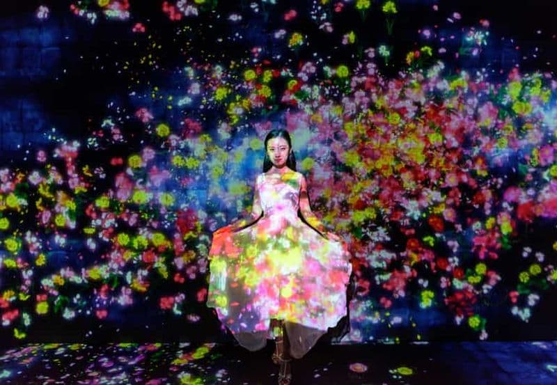 Tokyo : visite guidée de teamLab Planets et du marché aux poissons de Toyosu