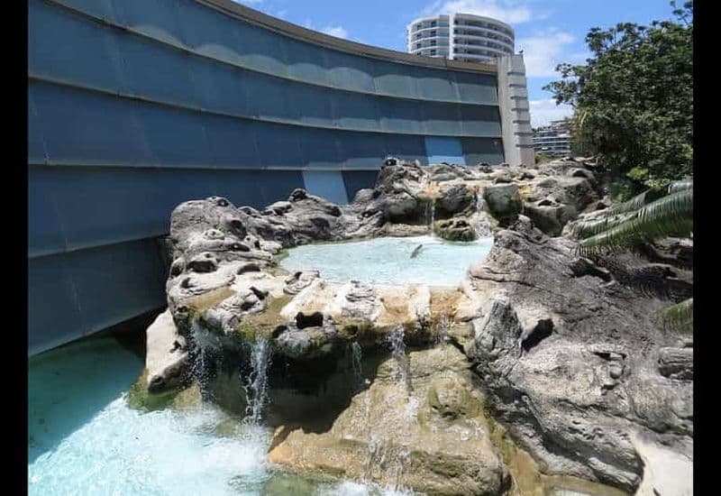 Nouméa : Aquarium du Lagon et bus à arrêts multiples - HOHO