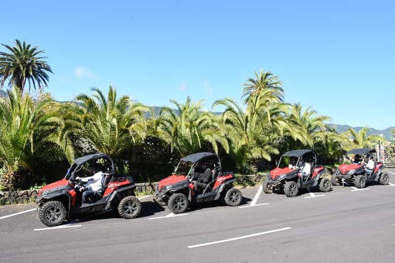 Billet La Palma : aventure en buggy le long de la côte volcanique (3 h)