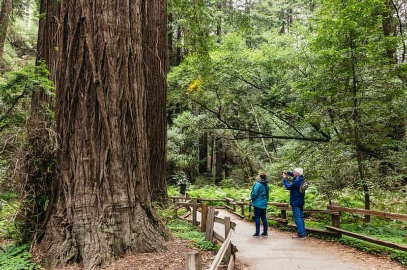 Billet San Francisco : Muir Woods, visite des vignobles de la vallée de Napa et de Sonoma