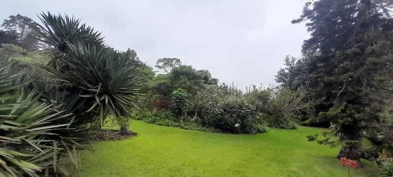 Nairobi : visite d'une demi-journée de la ferme de thé Kiambethu avec dégustation de thé.