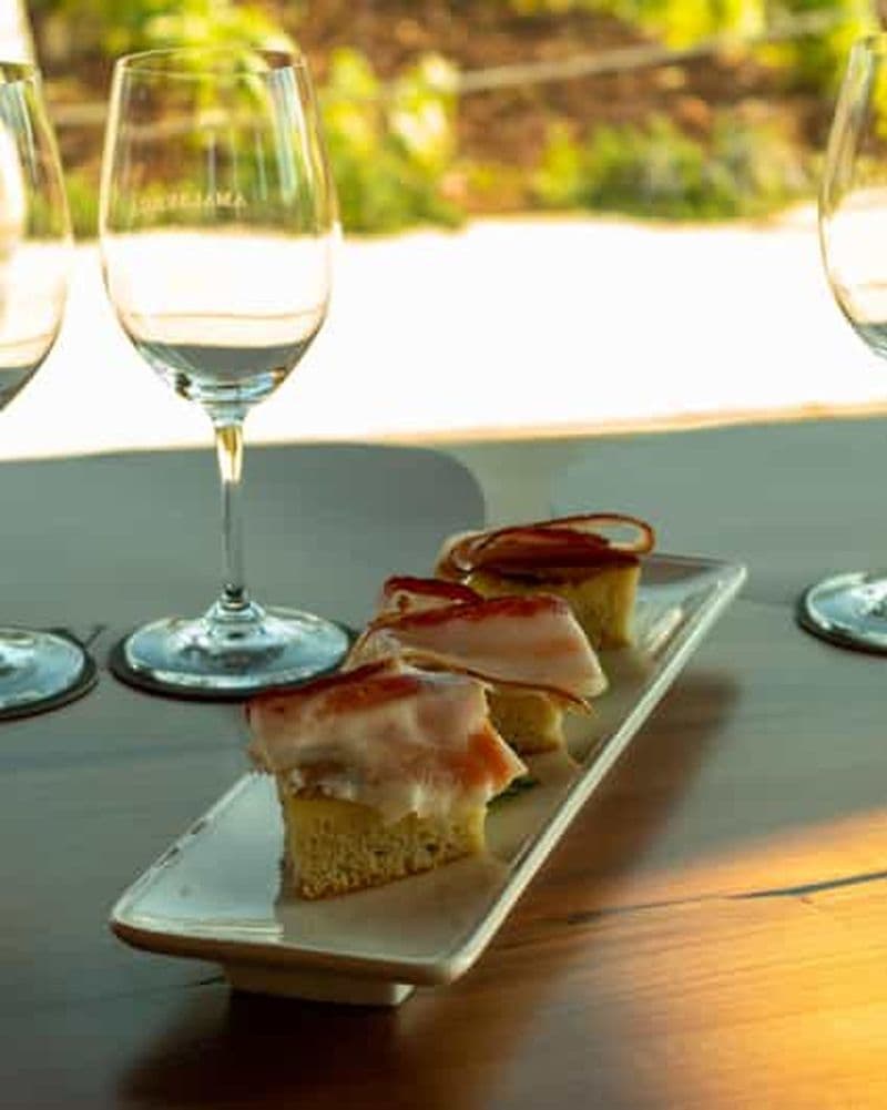 Les vins biologiques d'Ostuni - visite et dégustation dans la cave