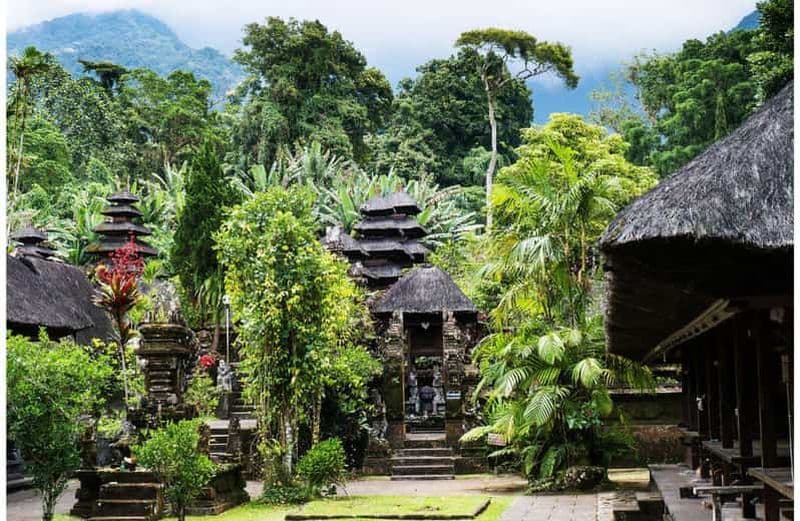 Bali : visite du village des oiseaux, du temple Batukaru et des rizières en terrasses