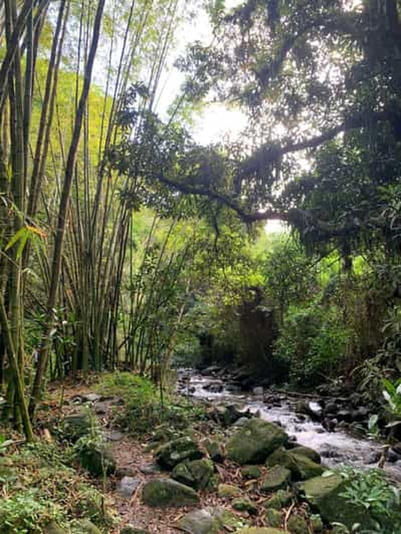 Glissez dans l'aventure : randonnée et toboggans naturels